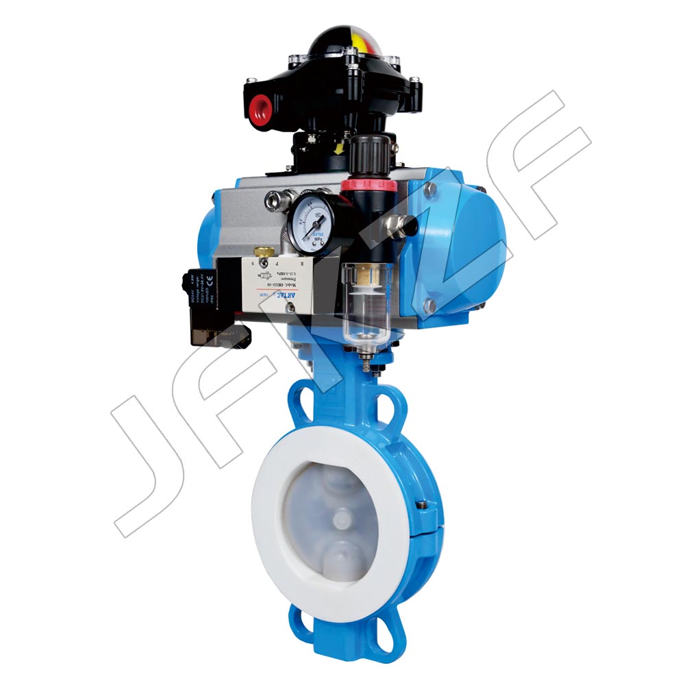 �����ڳĵ���